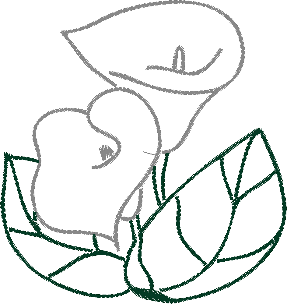 Cala Lillies 1  (5)