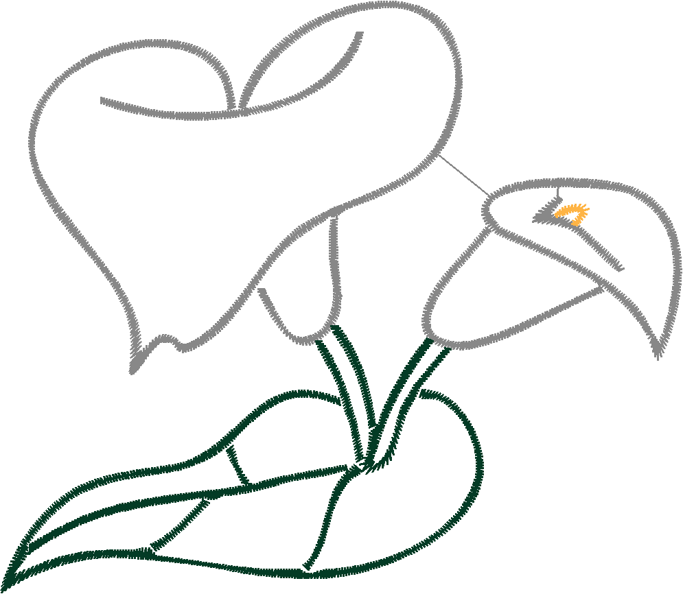Cala Lillies 1  (7)