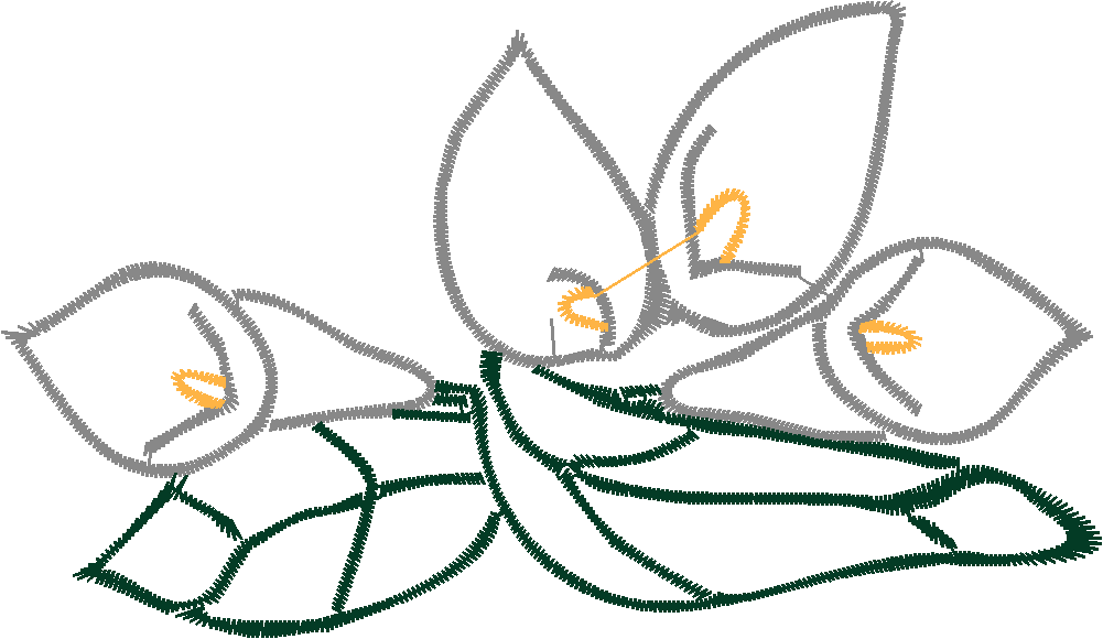 Cala Lillies 2  (9)