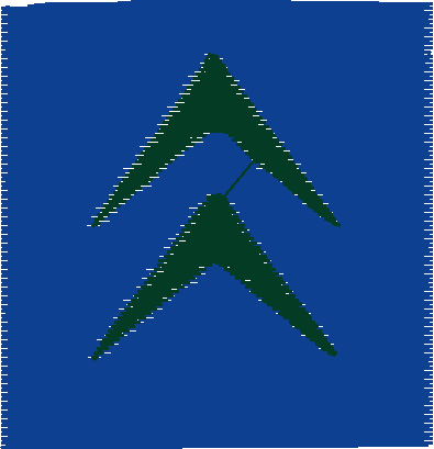 Citroen (9)