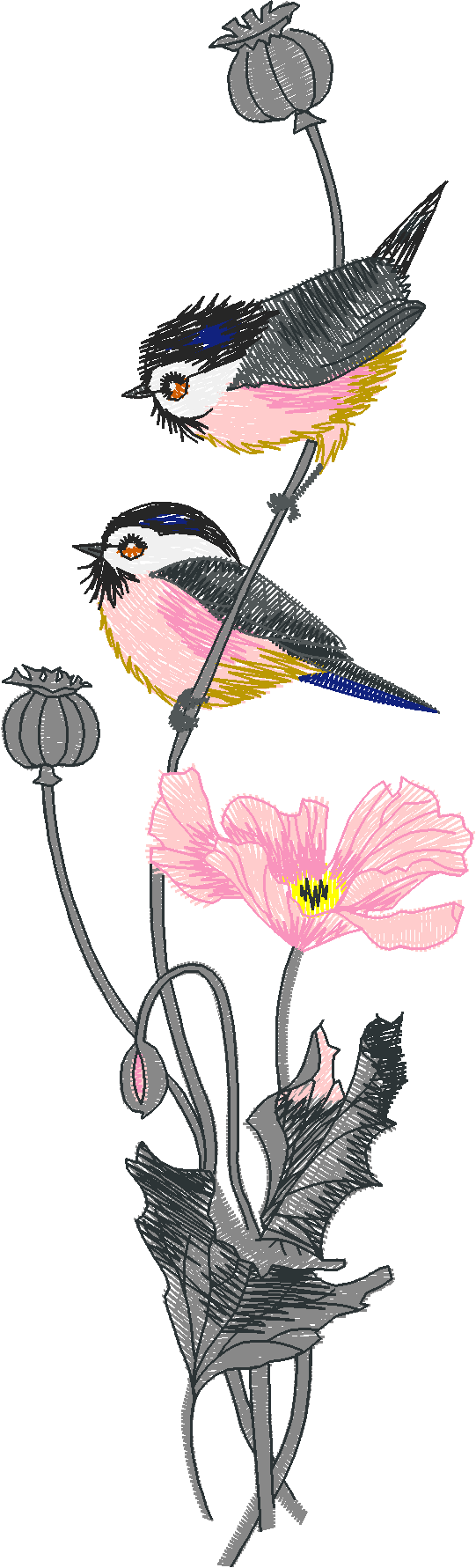 Chickadees 1 (4)