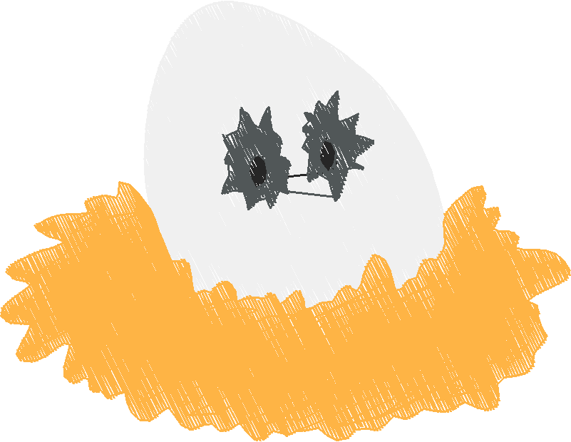 Chickens 2 (19)