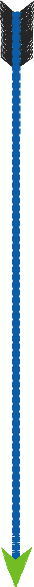 Wsti1016