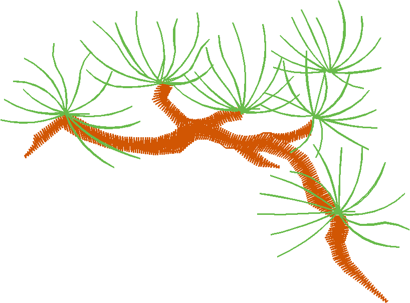 Leaves2