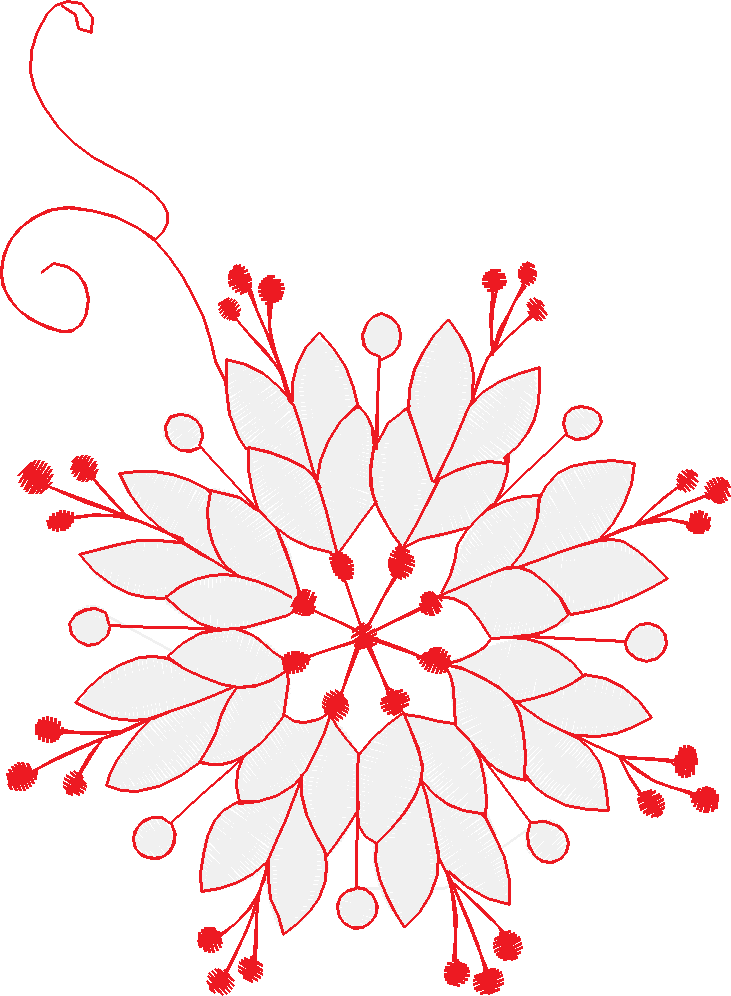 Bernina007