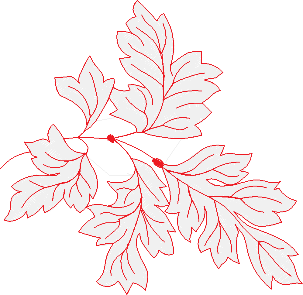 Bernina008