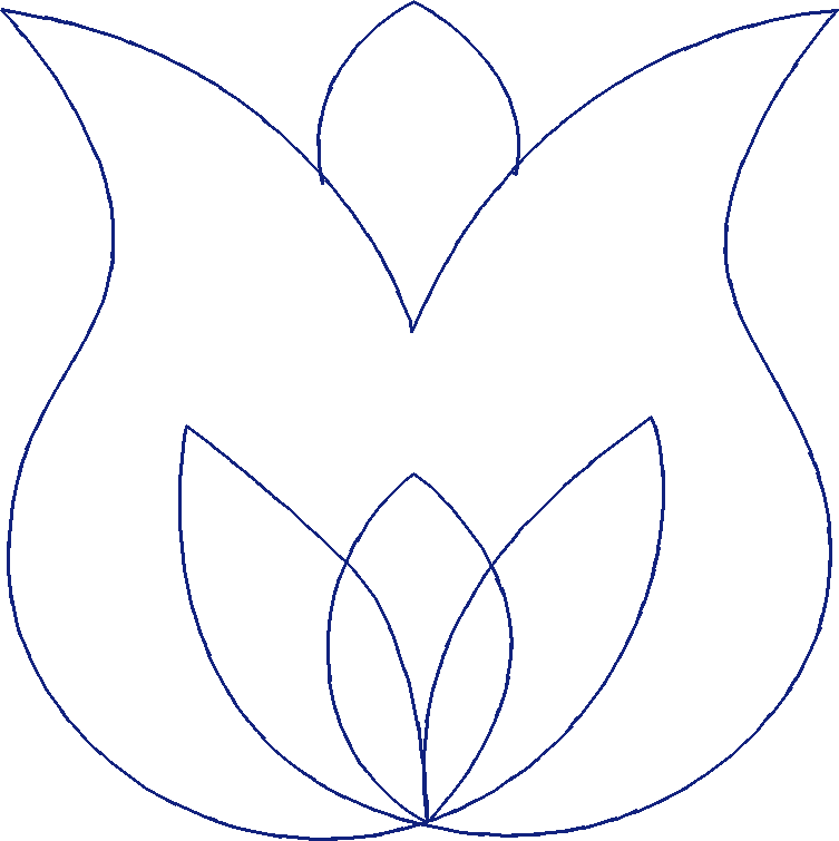 Qbn 008