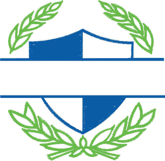 Nv334