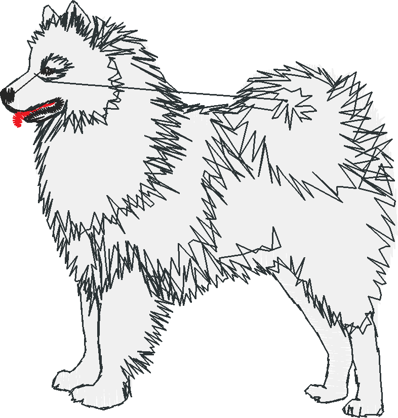 Dogs 1  (15)