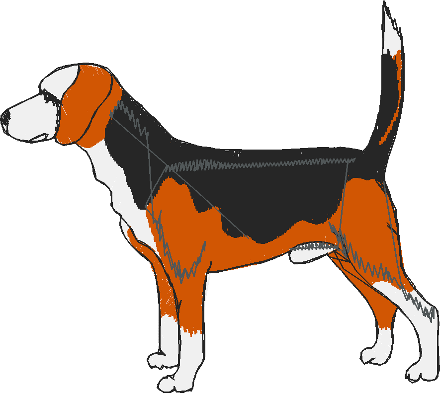 Dogs 1  (29)
