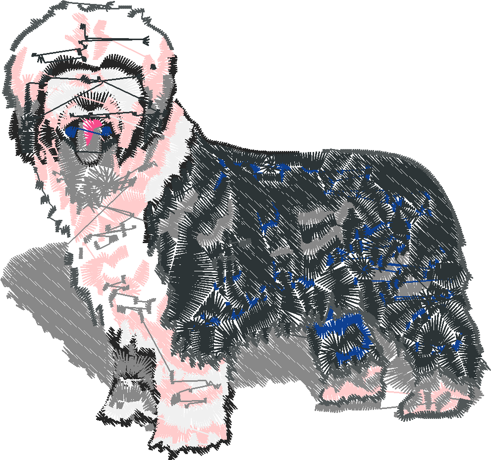 Dogs 11  (4)