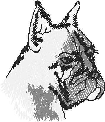 Dogs 13  (17)