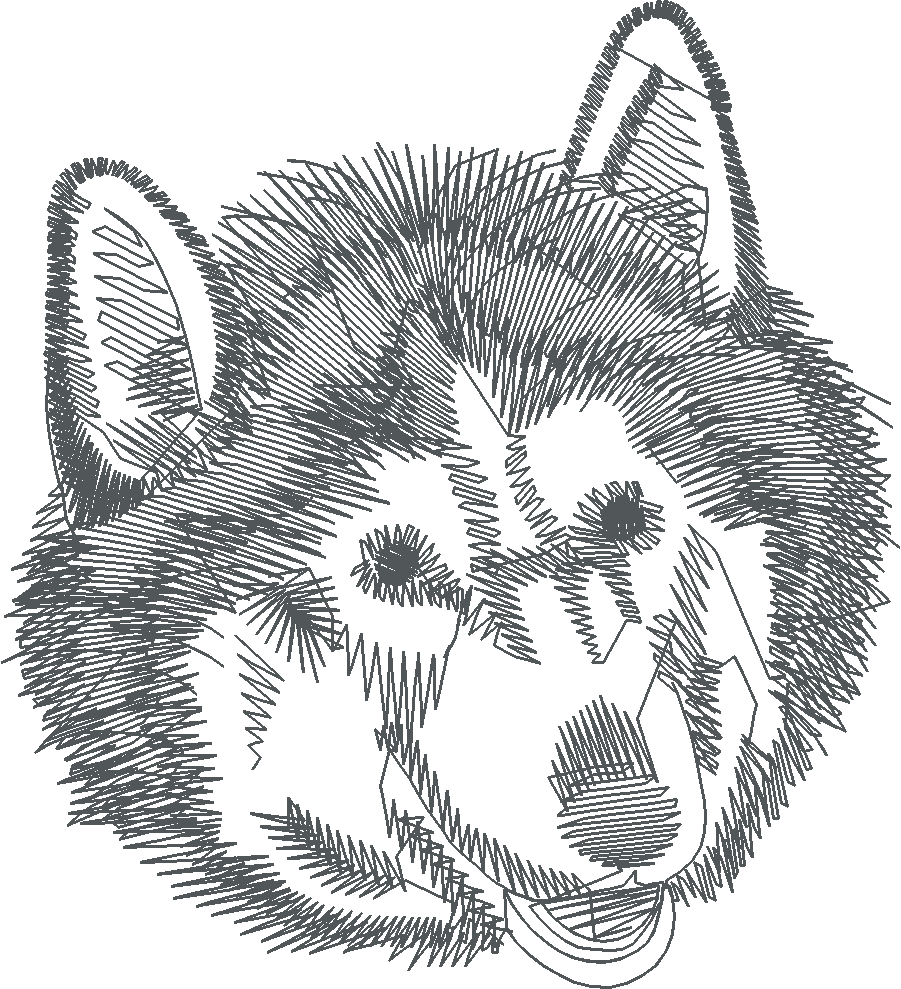 Dogs 14  (3)