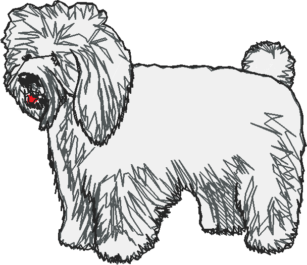 Dogs 15  (10)