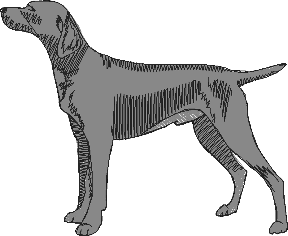 Dogs 15  (19)