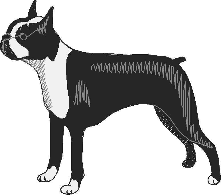 Dogs 15  (3)