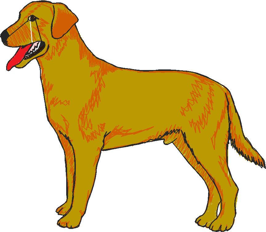 Dogs 15  (5)