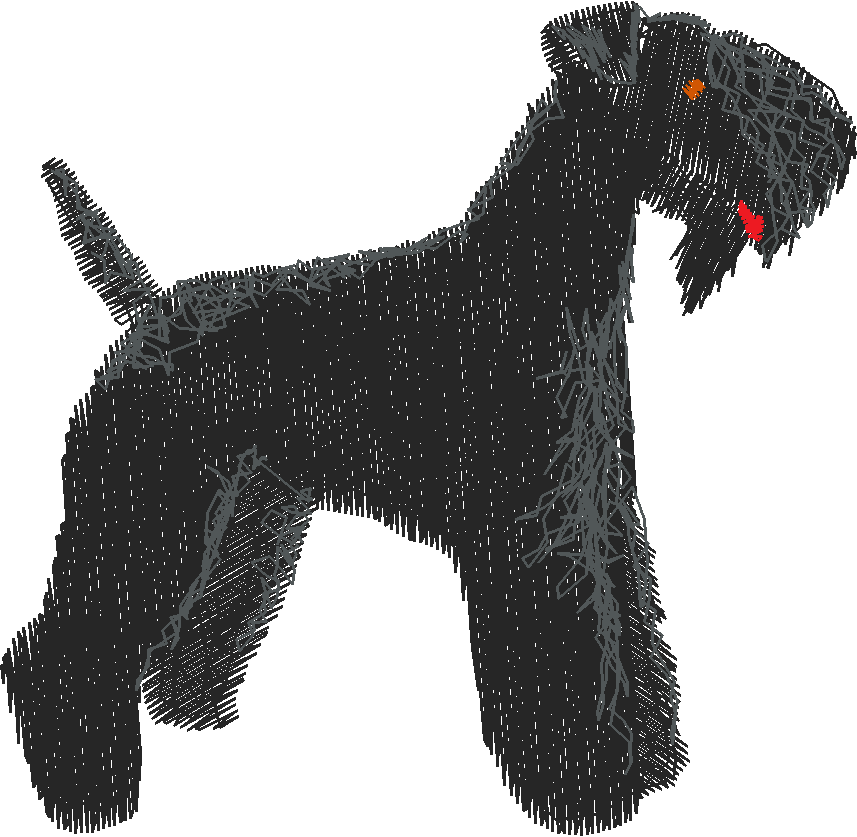 Dogs 16  (6)