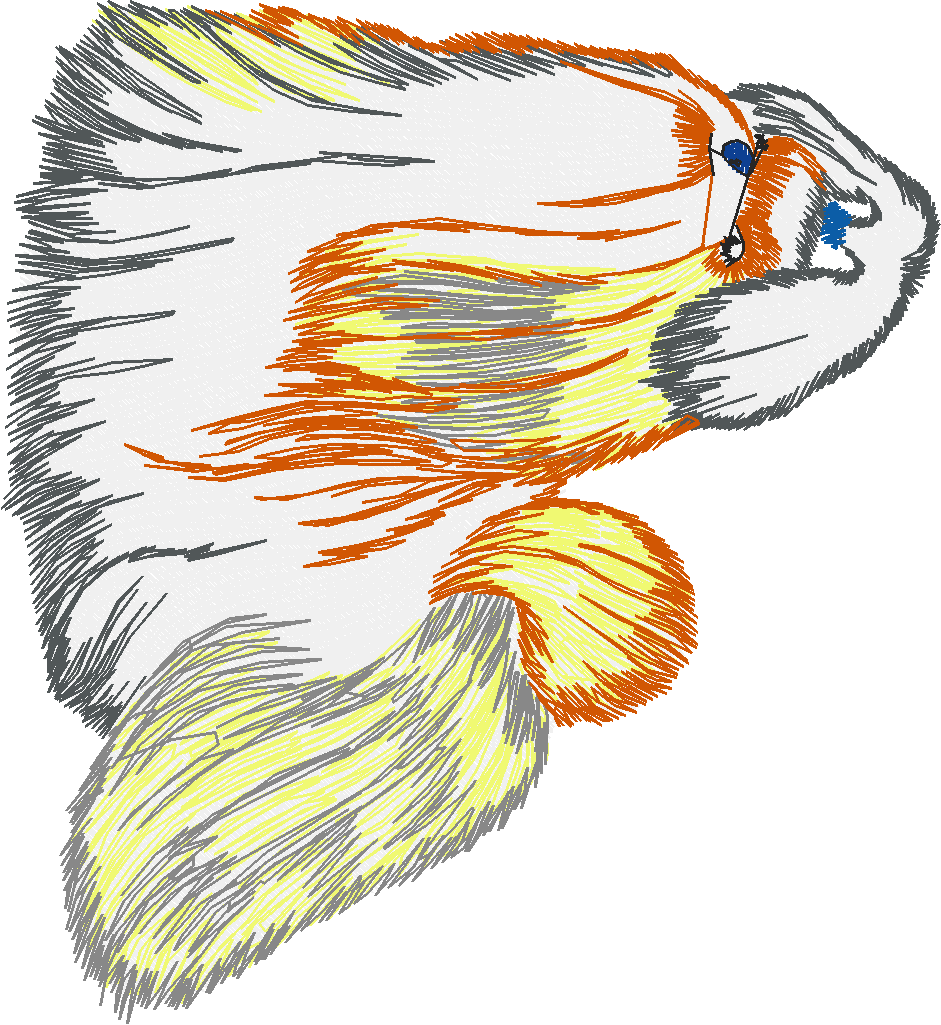 Dogs 17  (7)