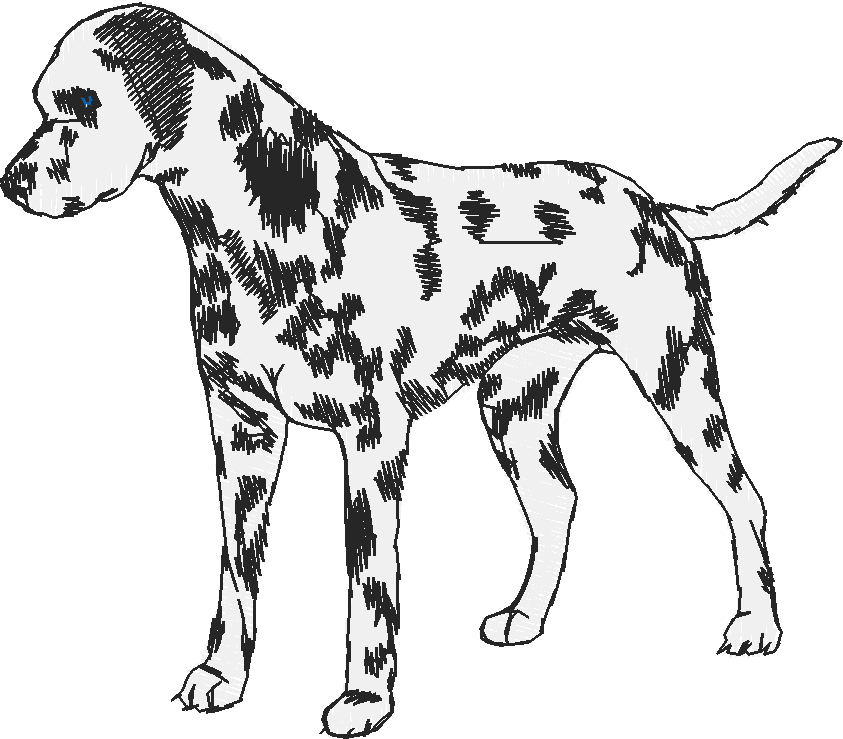 Dogs 18  (7)