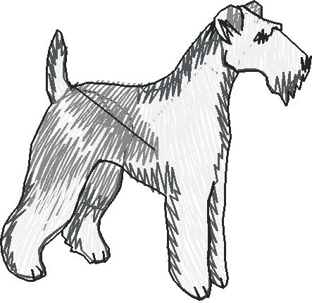 Dogs 19  (22)