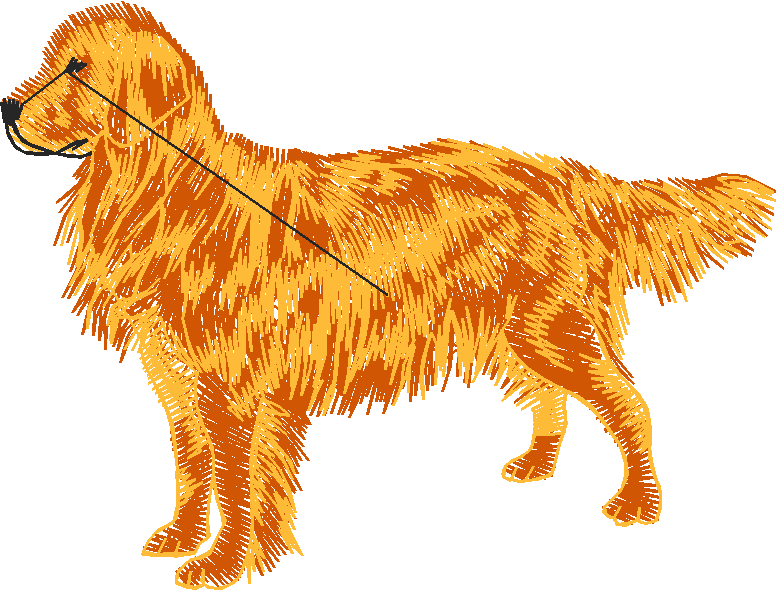 Dogs 20  (12)
