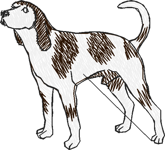 Dogs 22  (1)