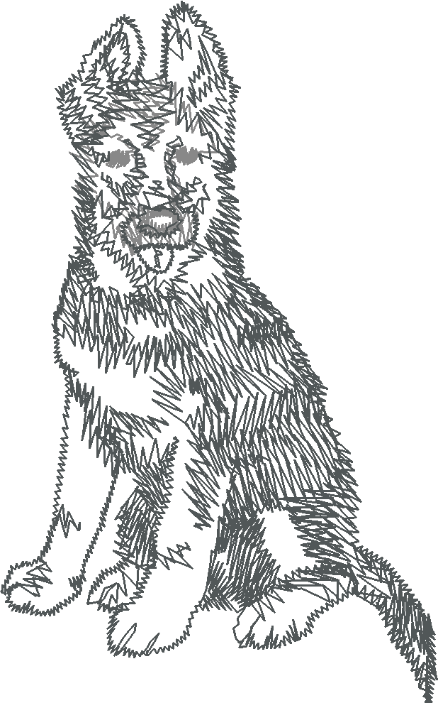 Dogs 23  (9)
