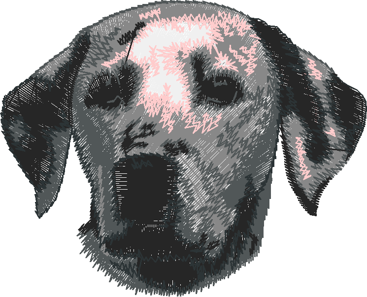 Dogs 5  (68)