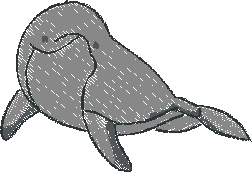 Dolphins 6  (2)