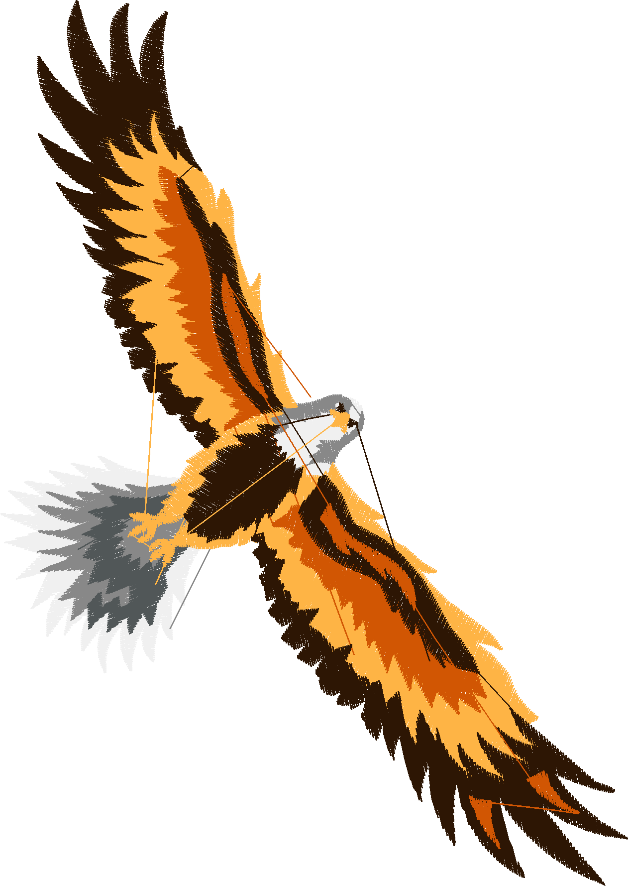 Eagles 1 (10)