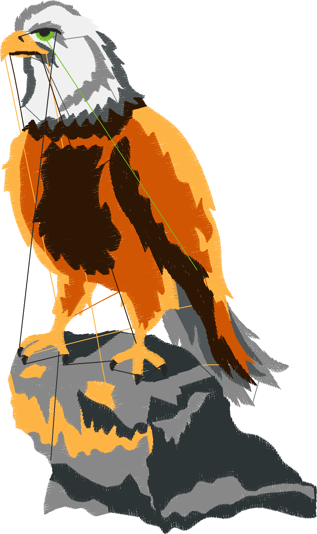Eagles 1 (13)