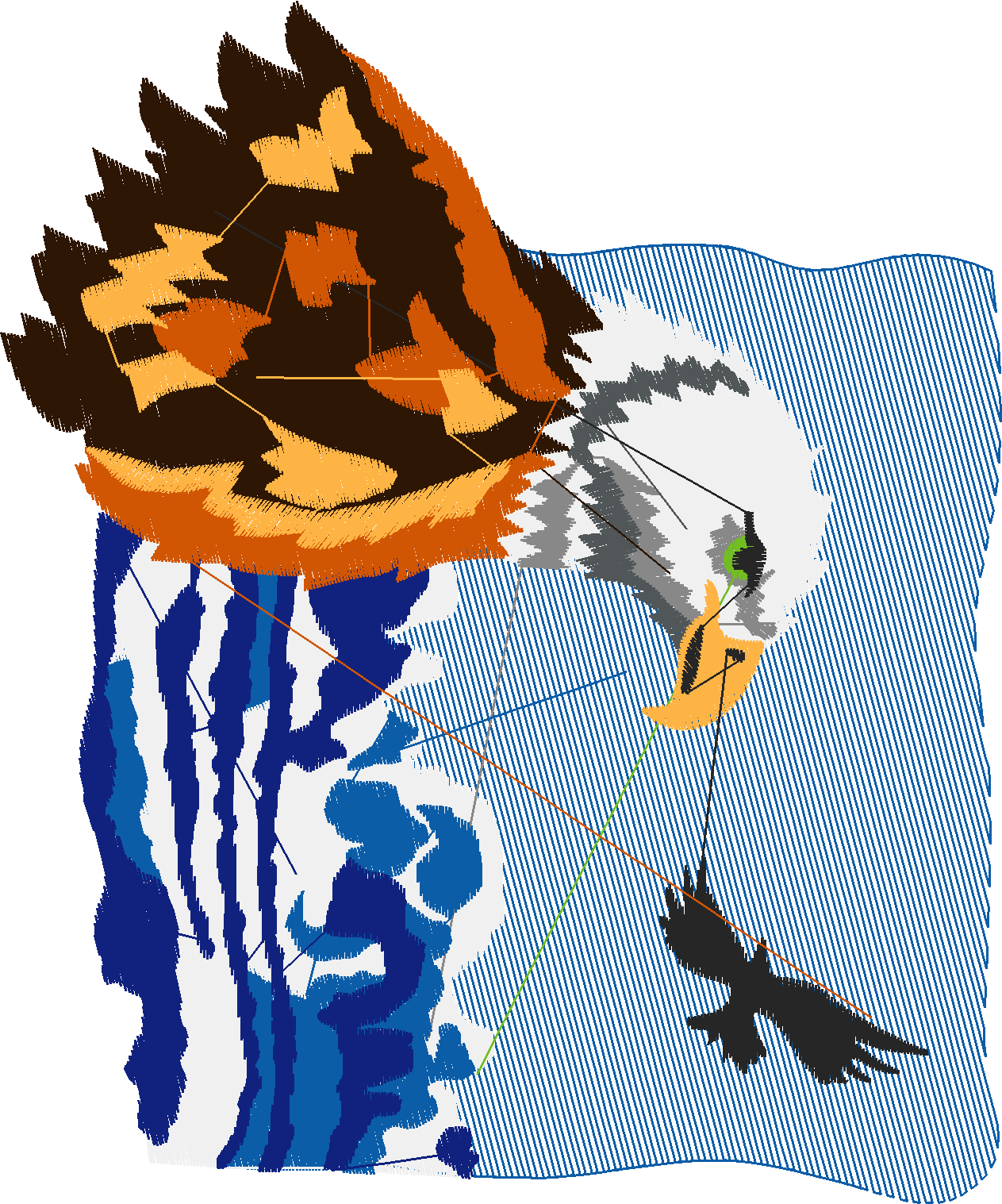 Eagles 1 (15)