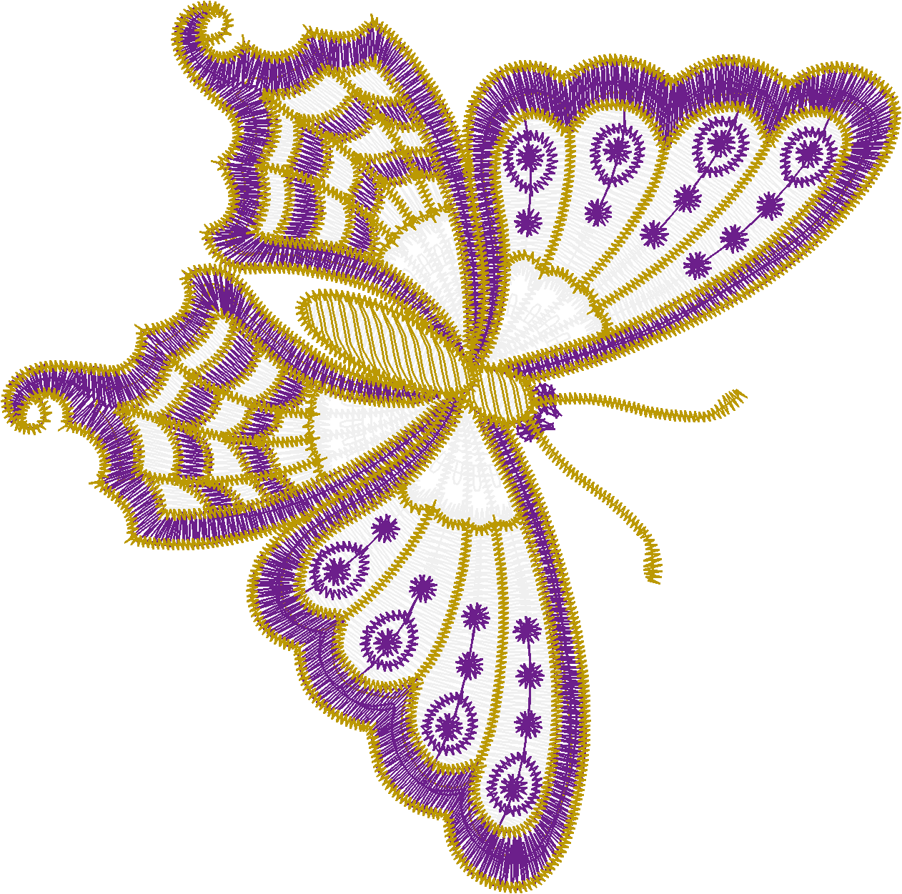 Butterflylg