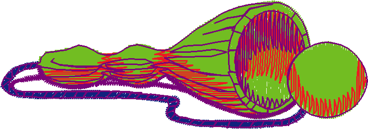 Ci120