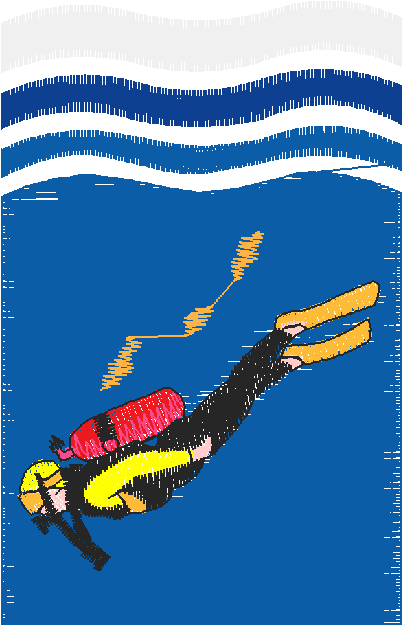 801 Sp
