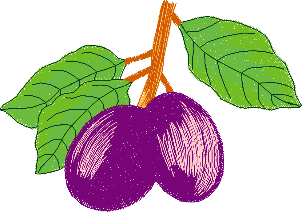 Fancy Fruit 1 (18)