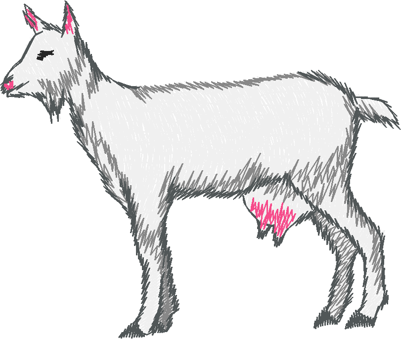 Farm Animals 5  (7)