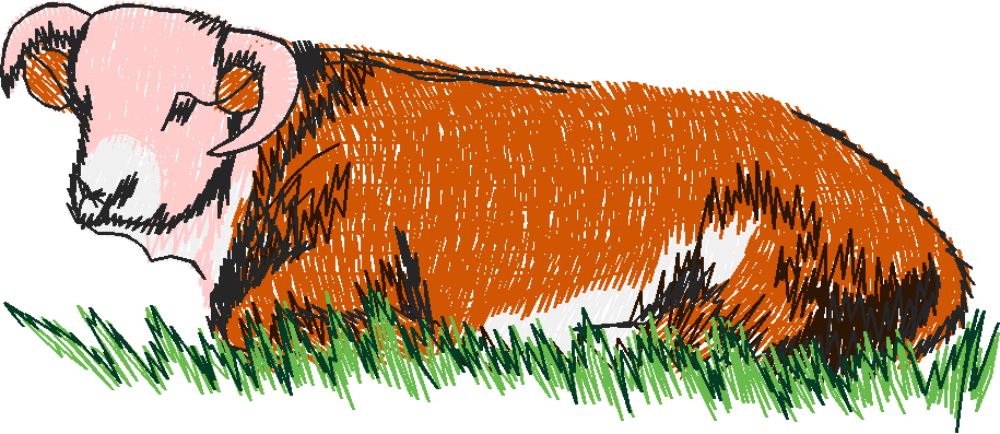 Farm 2 (4)