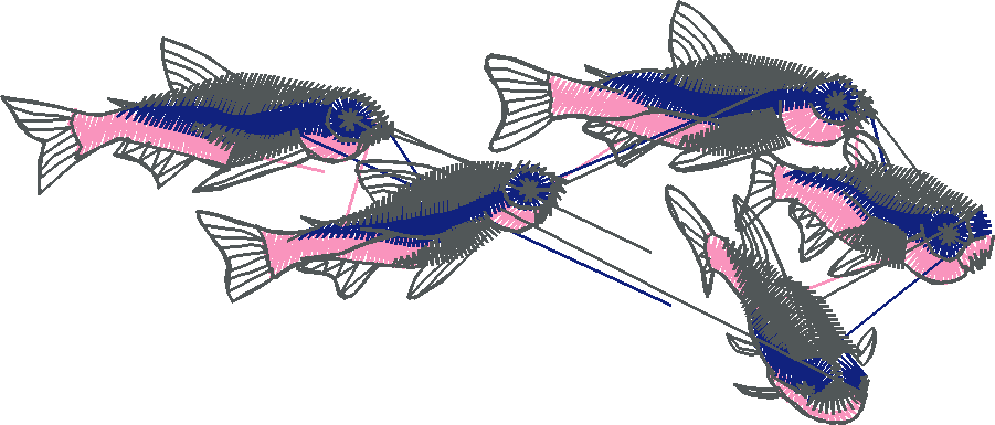Fish 3  (2)