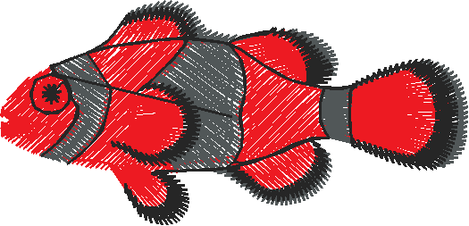Fish 3  (3)
