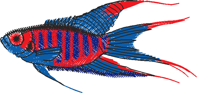 Fish 3  (4)