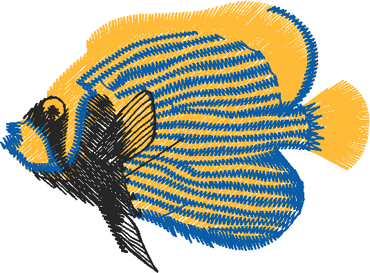Fish 3  (6)