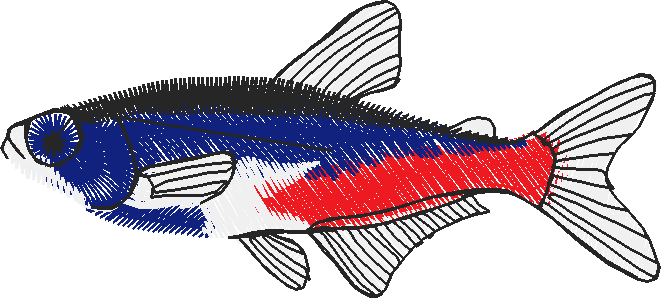 Fish 3  (8)