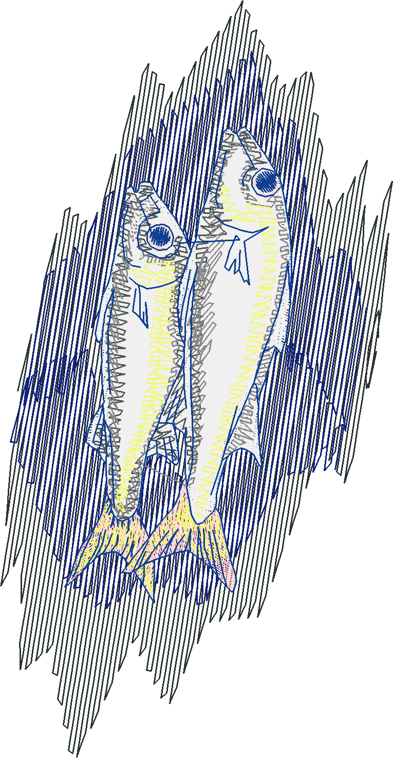 Fish 5  (15)
