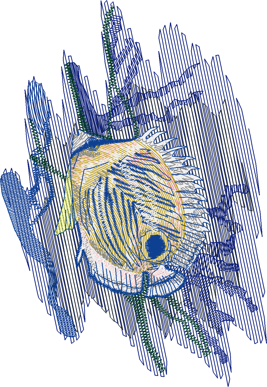Fish 5  (8)