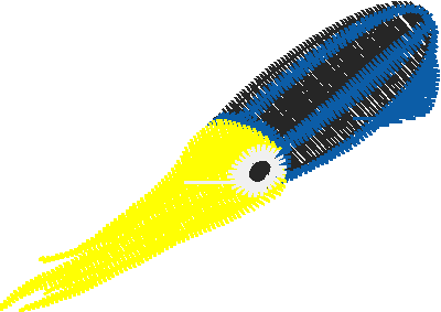 Fish 6  (14)