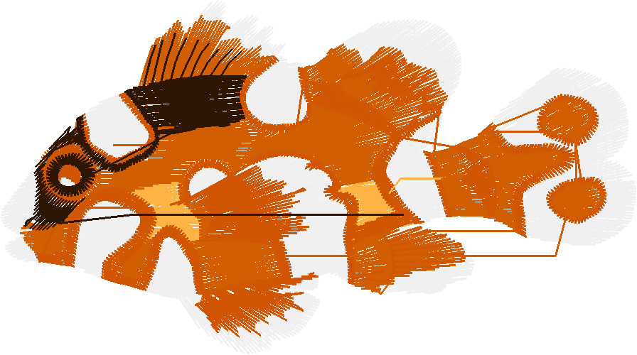 Fish 6  (17)