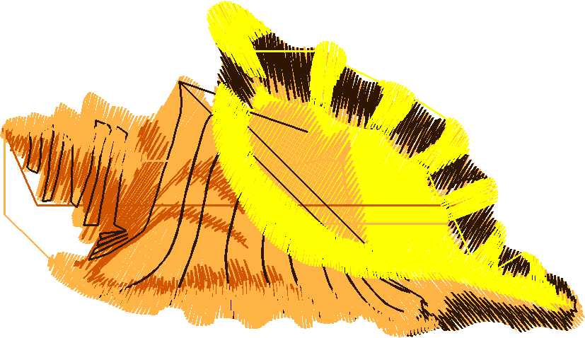 Fish 6  (18)