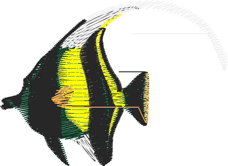 Fish 6  (23)